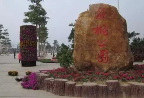 江阳旅游有哪些地方,江阳景点