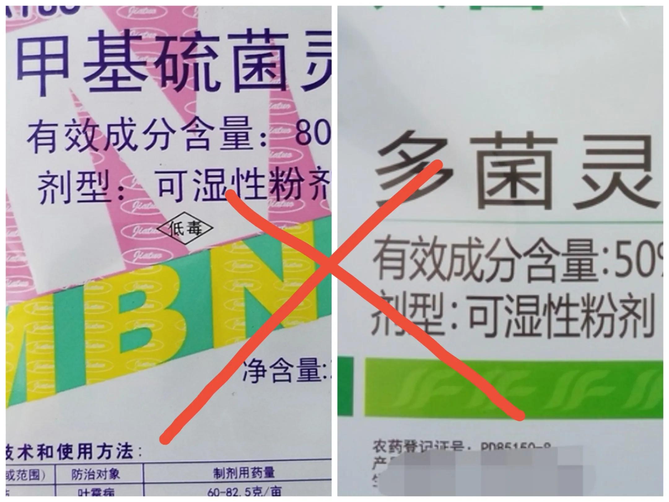 种植前要用多菌灵吗,多菌灵给土杀毒后能种植吗