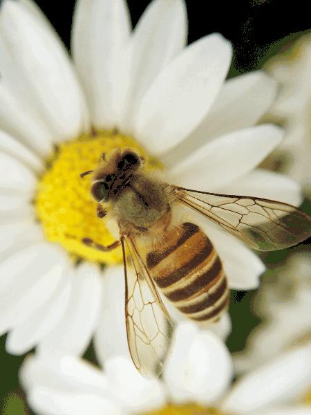 iPad是「无用的玩具」?用了一年,它为我打开了另一个世界