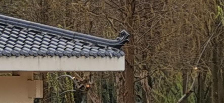 v20荣耀升级鸿蒙感受,荣耀v20升级鸿蒙2.0.0.165好不好