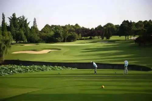 成都世警会比赛安排,世警会双流会场9号有什么赛事