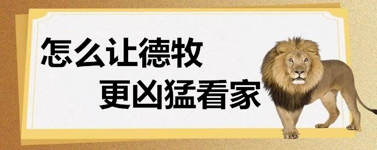 德牧怎么让它厉害点,凶猛的德牧看家护院