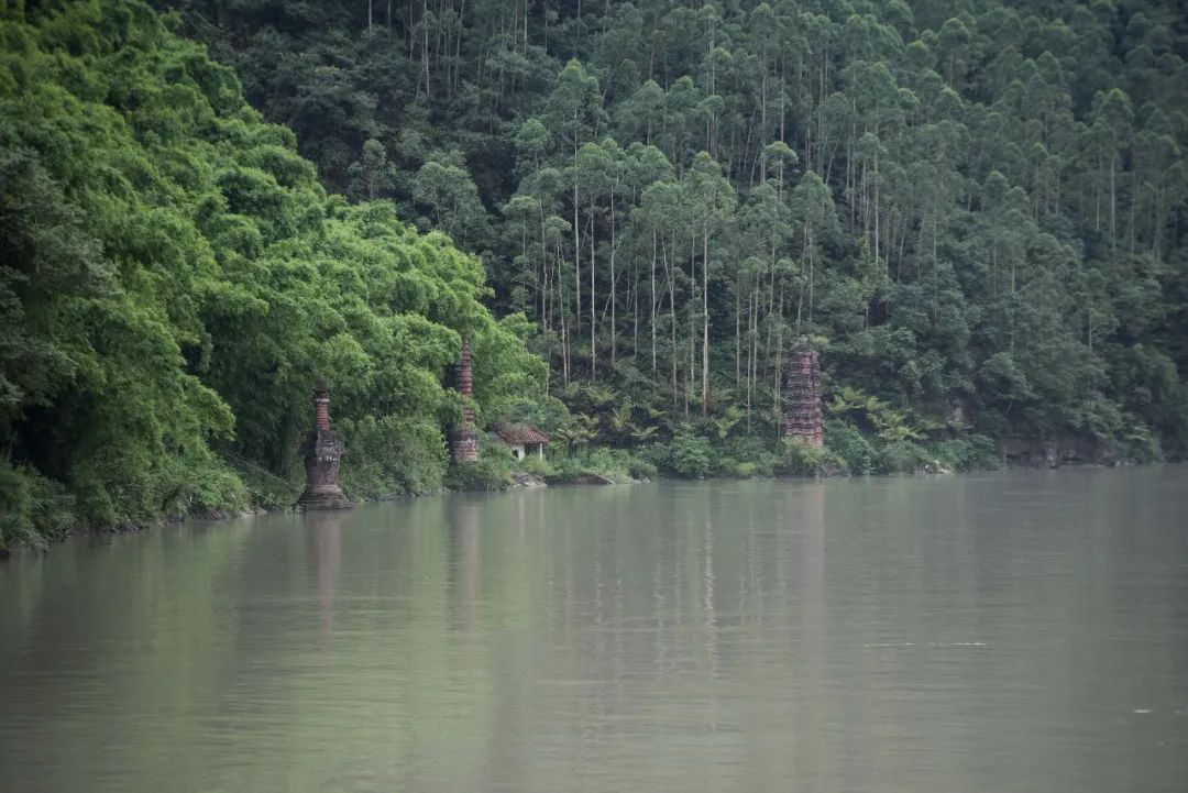 要想身体好常往洪雅跑标语,要想身体好常往洪雅跑文案
