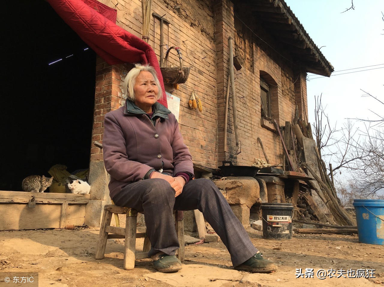 农村俗语“30要想，40要戒，50要数，60要放”什么意思？有道理吗