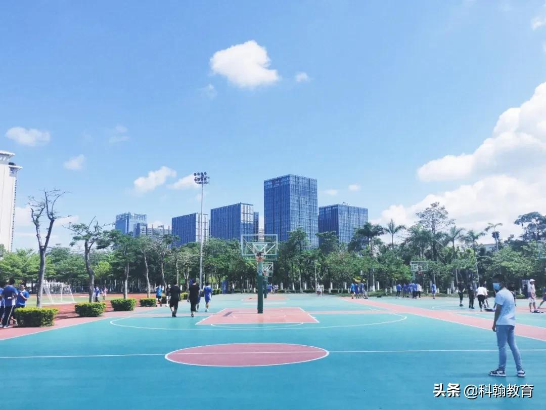 深圳读书的真实感受,深圳高中读书体验