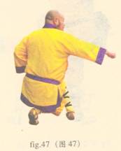 少林心意门拳视频教程,少林长护心意拳图解