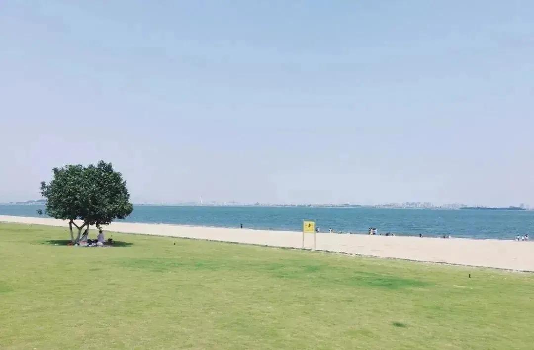 直奔厦门,厦门夏日旅行攻略