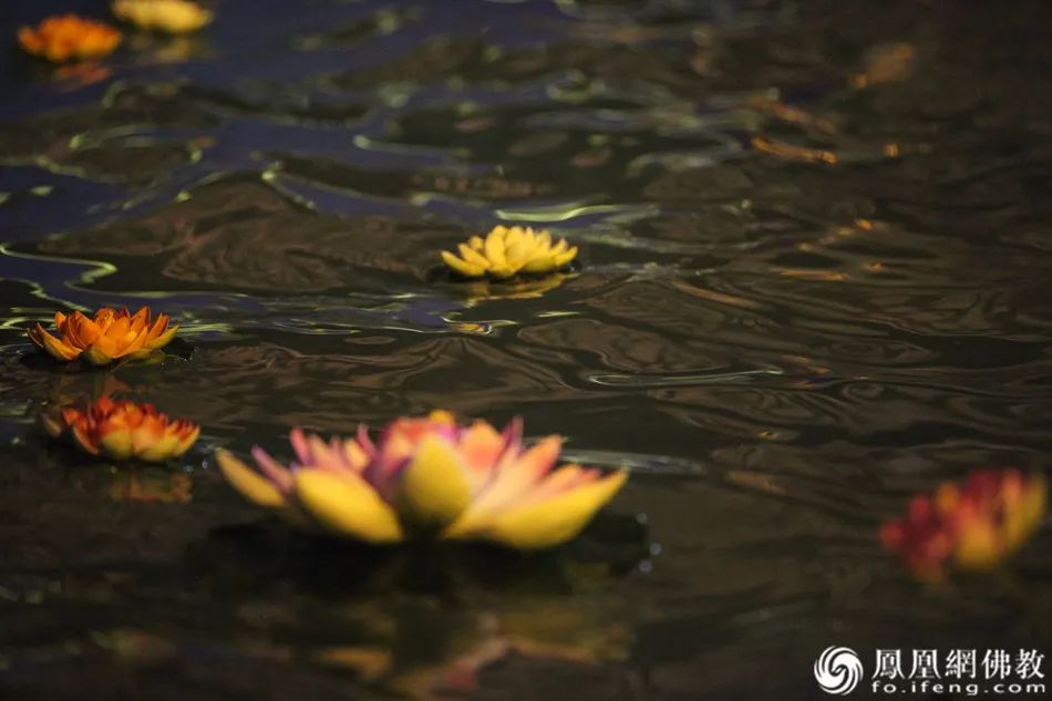 一位寺院住持和400多位癌症患者的“生死之交”|真实故事