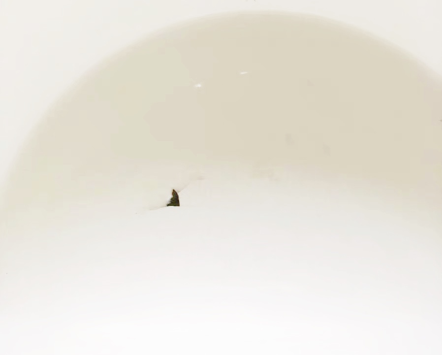 网红锅值不值得买,网红锅真的实用吗