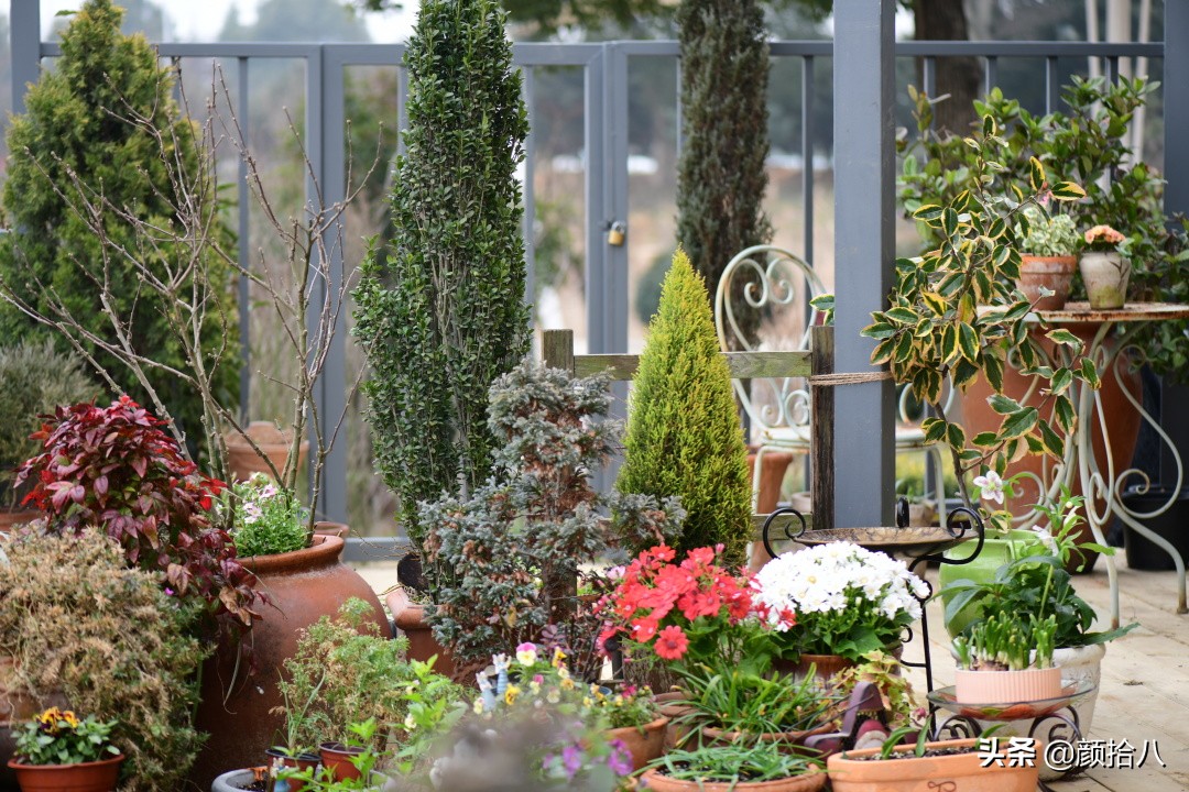 就趁现在，花园最忙碌的季节|园丁