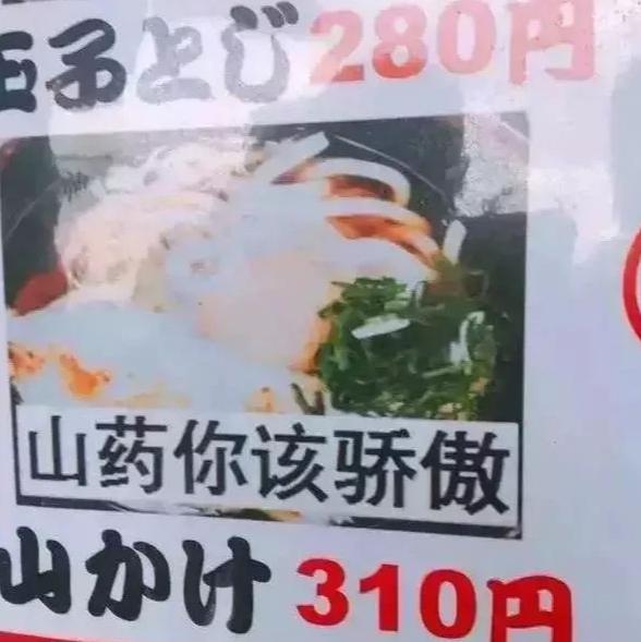 日语中文翻译段子,日语中的大神翻译