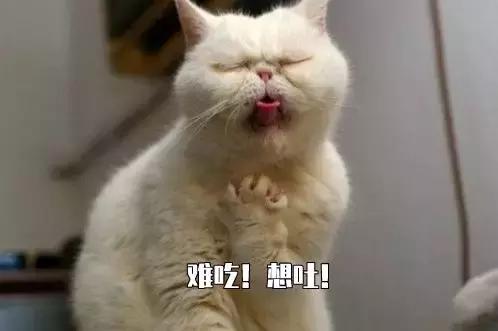 猫咪突然不爱吃猫粮了是怎么回事,猫咪突然不爱吃东西是什么原因