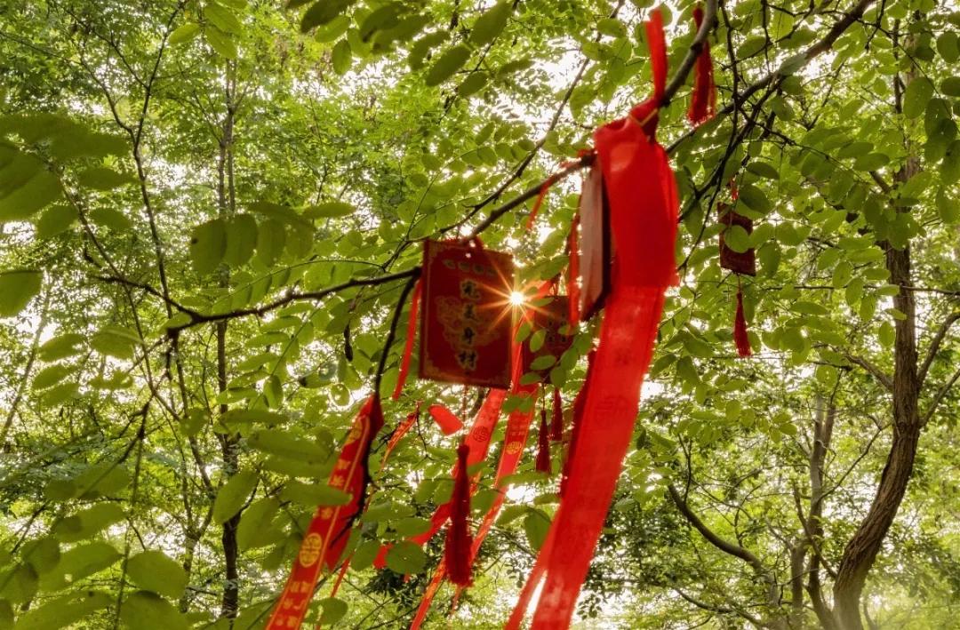 初夏去花海好玩吗,初夏去海边好玩吗