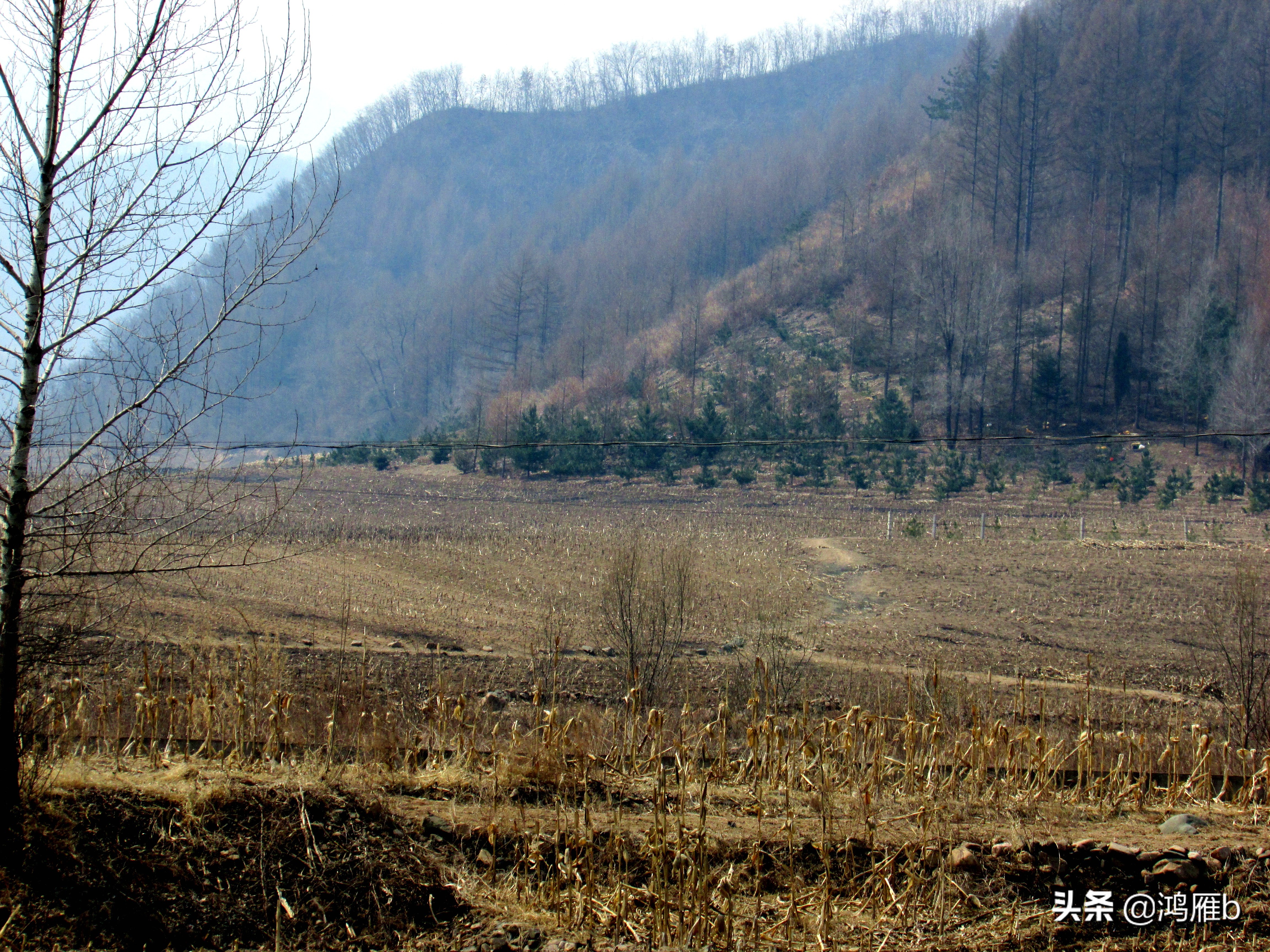 李货郎传奇——本溪清河城大战话外中提到的神秘人物