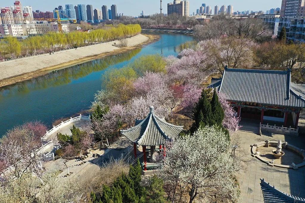 这就是天津话,这就是天津卫原版