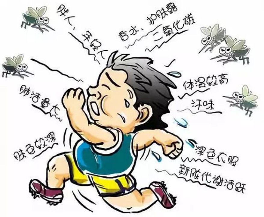 为什么蚊子幼虫期危害大,蚊子为什么被称为害虫