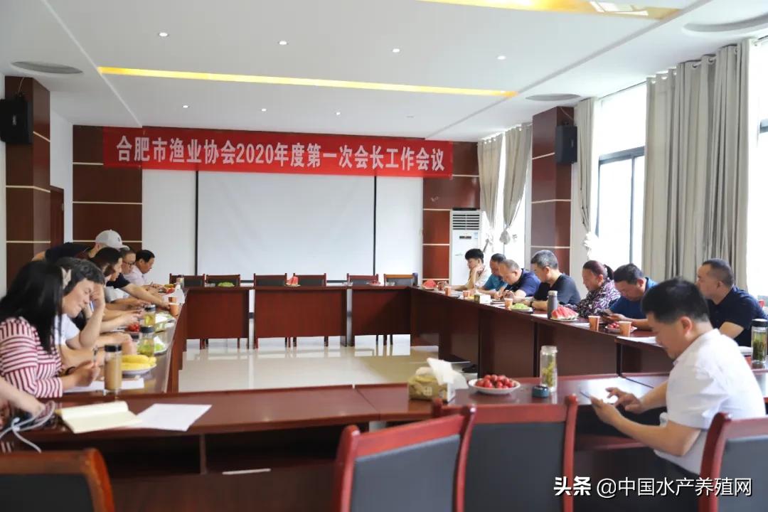 安徽省渔业协会,安徽渔业协会