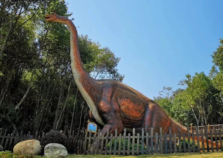 武汉带孩子吃喝游玩地方推荐,武汉吃喝玩乐指南