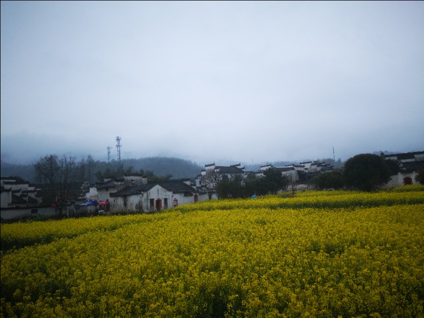 去安徽黄山玩攻略,安徽黄山三日游最佳攻略