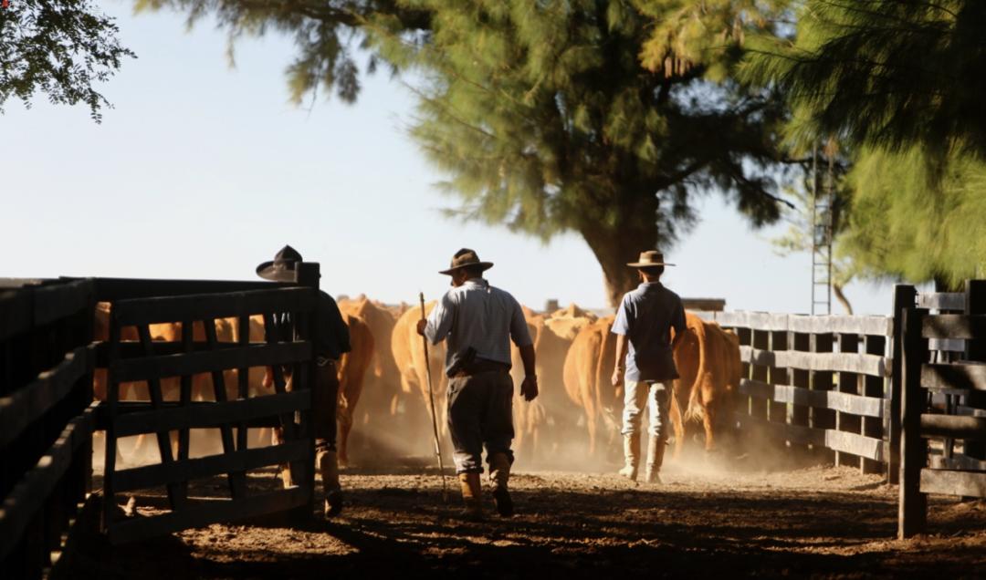 科学家妻子用自己的基因造出异形,科学家人造婴儿