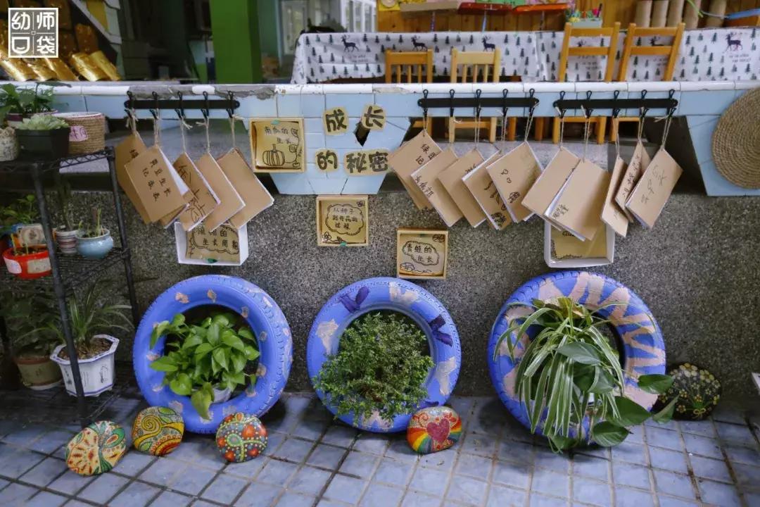 空间小、经费不足、面临*迁拆**，这家幼儿园却给出了满分的环境