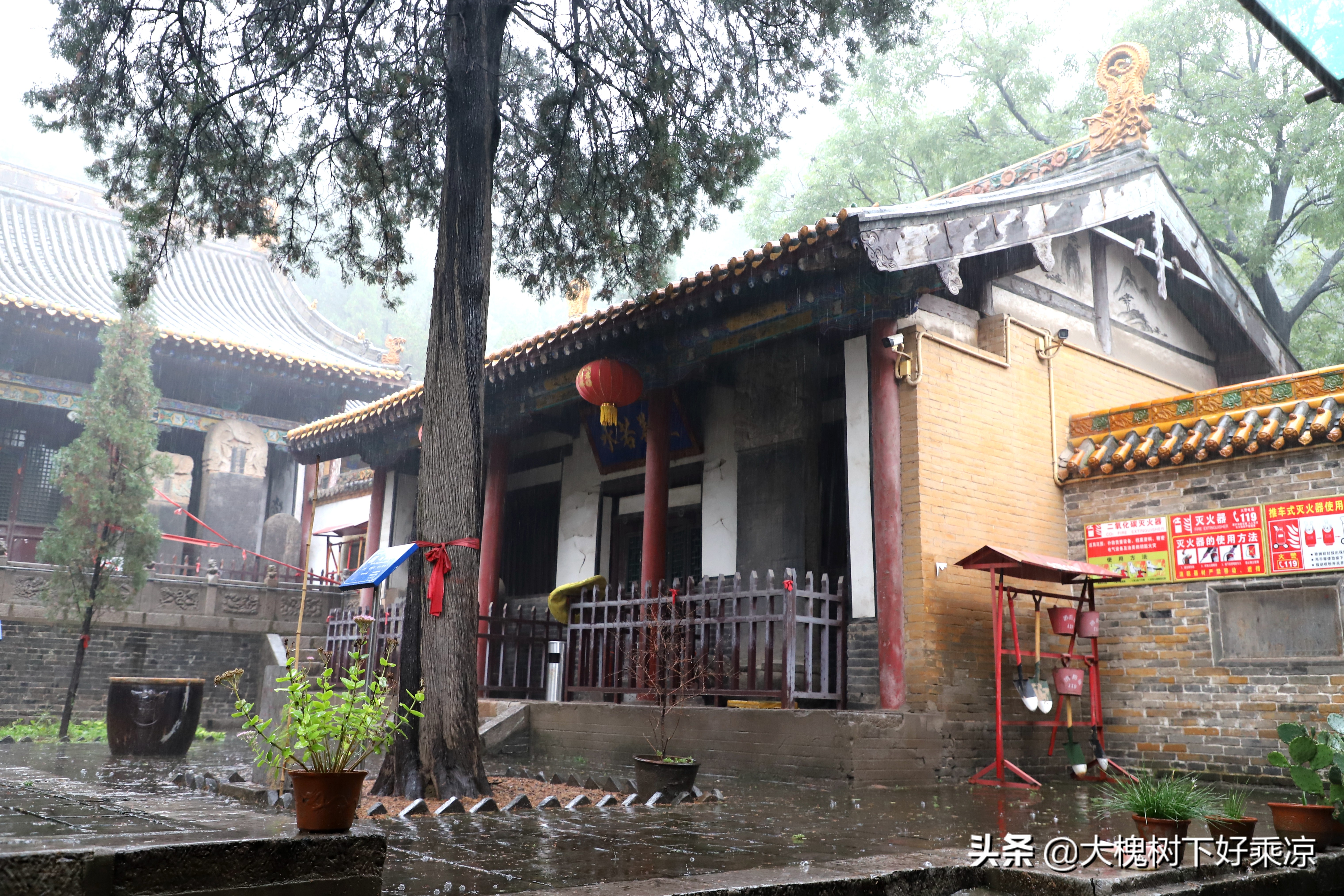 庙内文物被盗案视频,白塔寺被盗文物追回来了吗