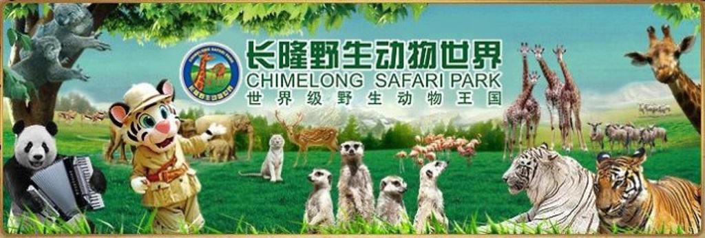 长隆野生动物世界推荐,长隆野生动物园必看动物