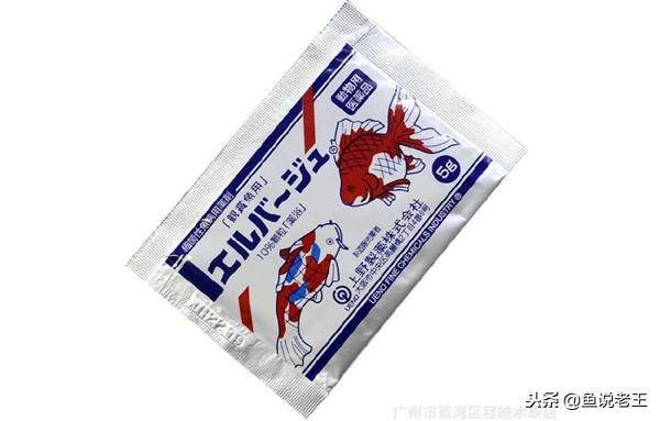 预防鱼儿生病怎么下药,如何急救生病的鱼