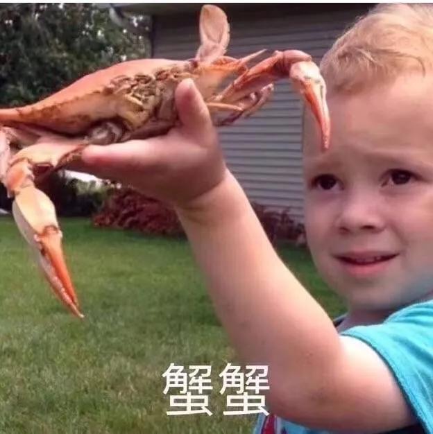 斗图10大万恶之源梗,斗图什么梗