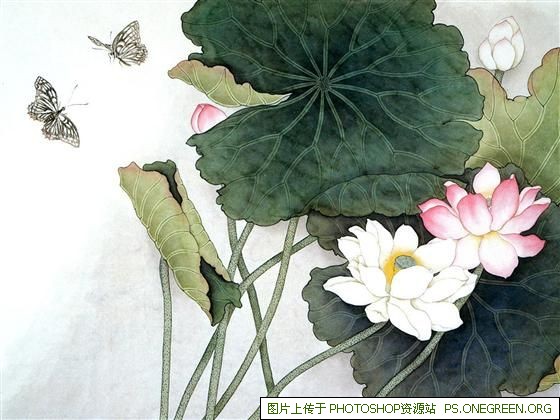 北纬66度歌曲,北纬66度在哪里