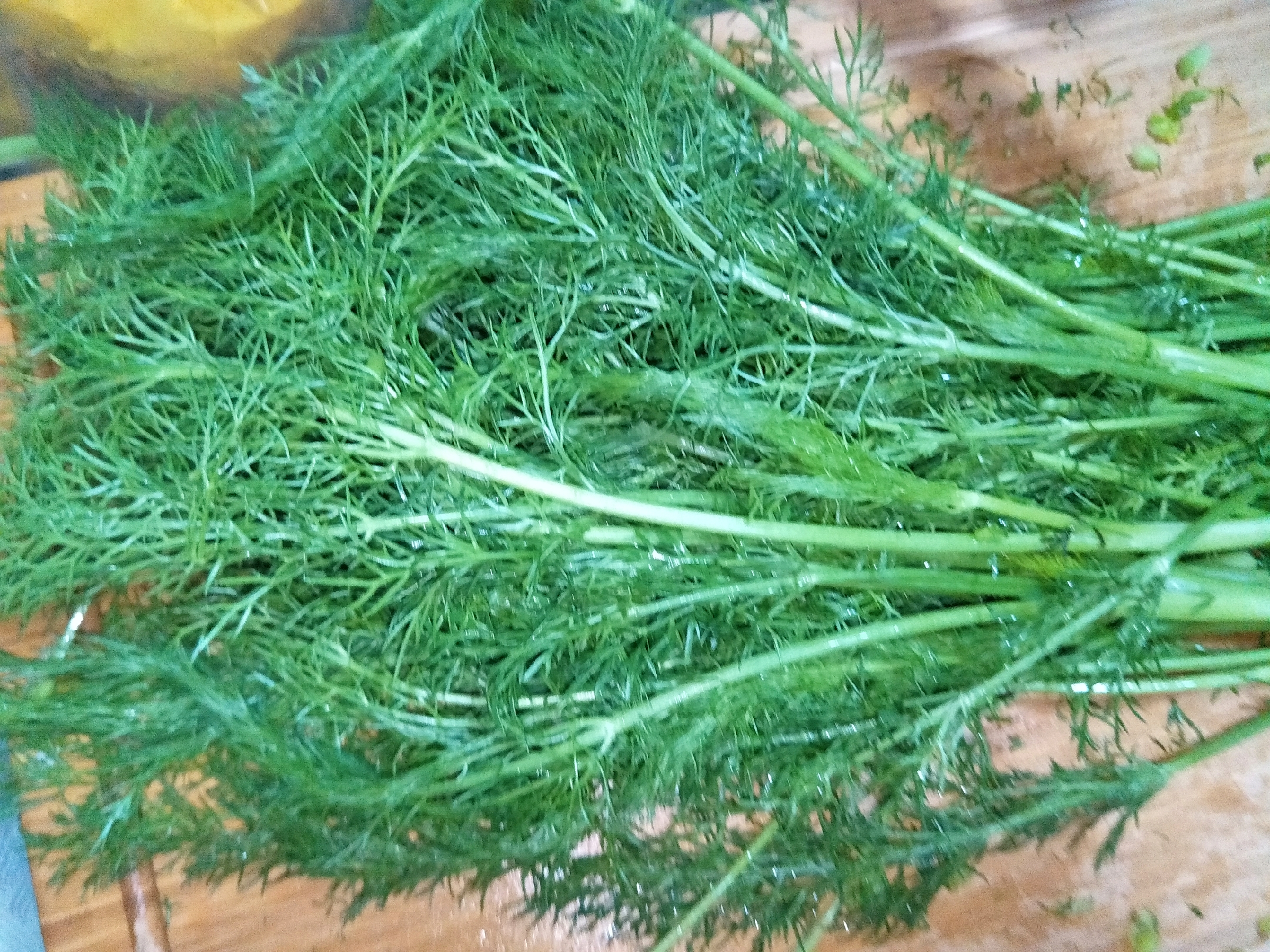 春天不能错过的美食荠菜饺子,春天不能错过这种馅的饺子