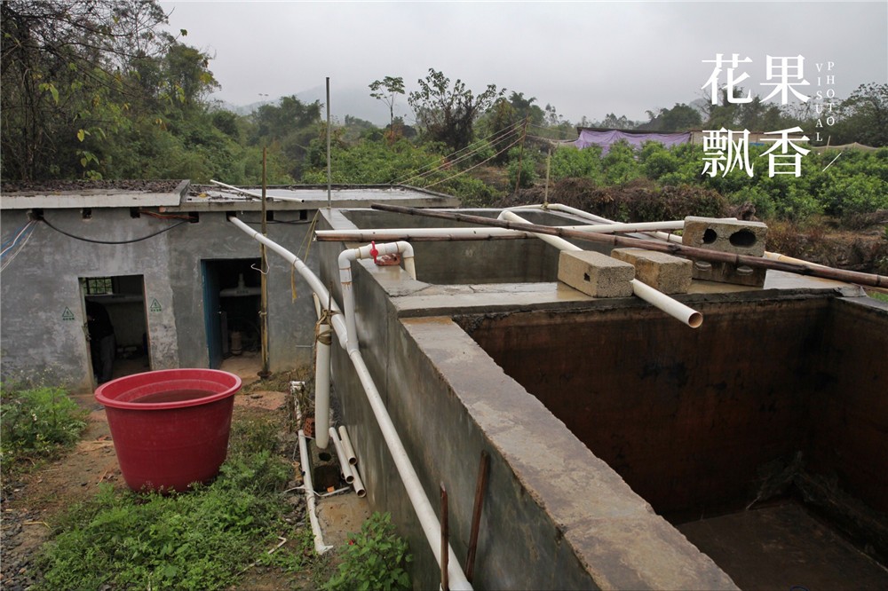 种地真的不容易一分耕耘一分收获,种地真的不容易钱难挣