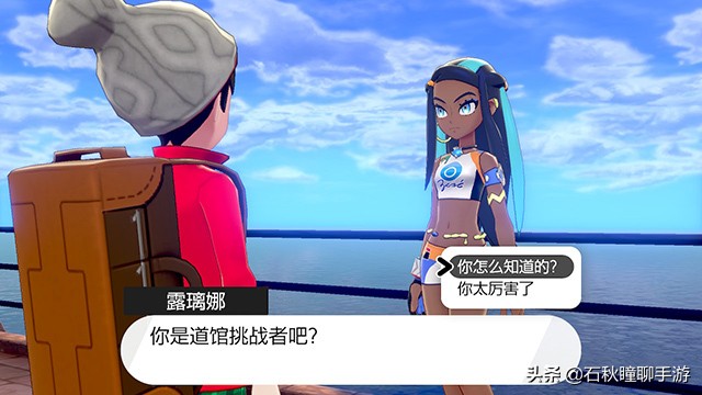 宝可梦剑盾一周目二周目什么意思,switch精灵宝可梦剑盾一周目