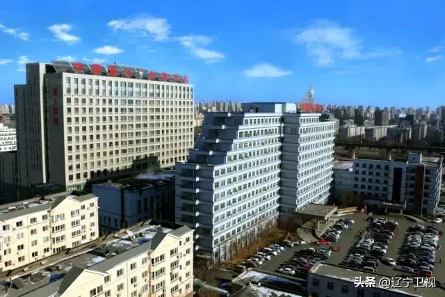 区域急危重症救治,29种危急重症急救流程图解