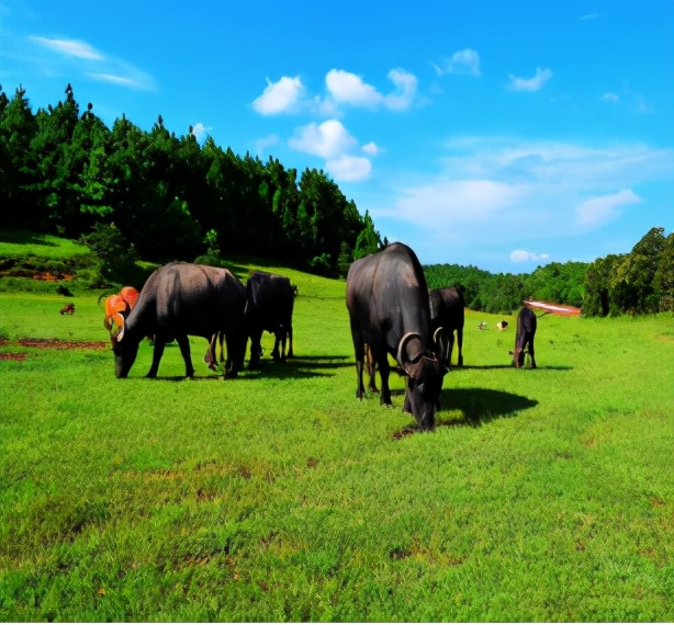 云南禄丰旅游线路攻略图,云南冬季自驾游最佳线路图