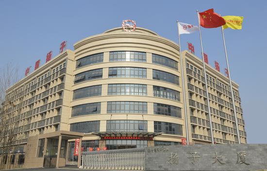 扬子集团40周年感恩答谢大型活动,中国扬子集团40周年庆典