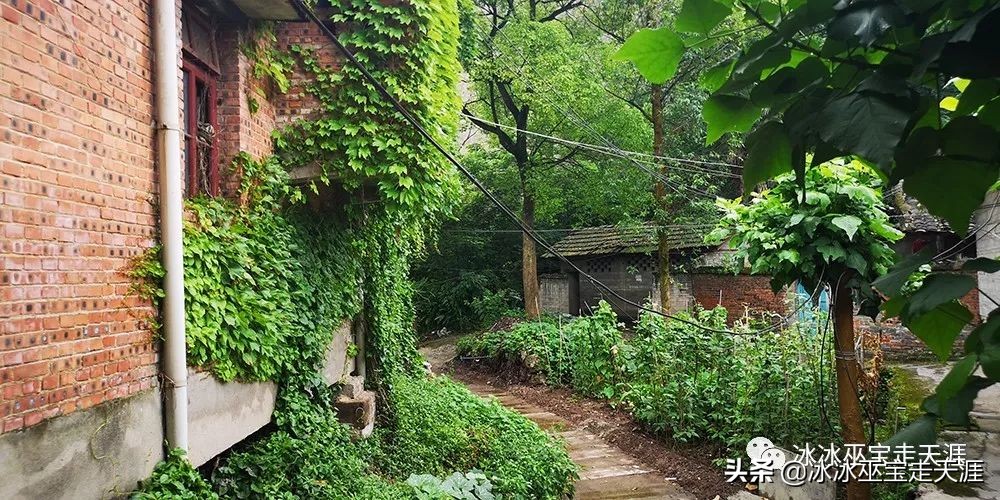 绿皮车成渝铁路上运行,川黔铁路最后的绿皮车