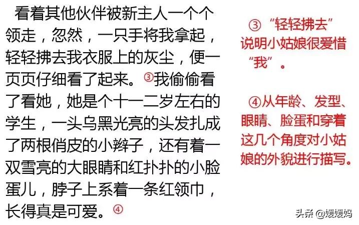 奇妙的想象三年级作文300字小土豆,三下五单元作文奇妙的想象范文