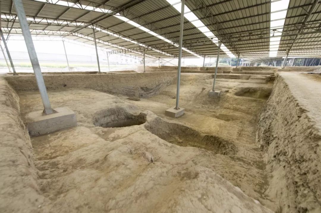 日本人知道鉴真吗,鉴真和尚到日本吃肉吗