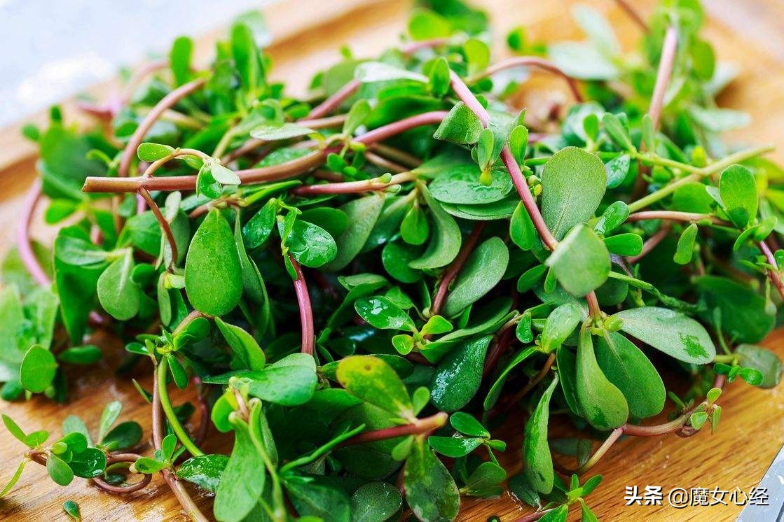 舒缓镇静的护肤品,能够修护皮肤肌底的护肤品成分