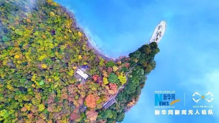 澶х編鏂囧幙,澶х編鐢樿們鏂囧幙