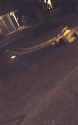 球不是这样踢滴搞笑图片,足球趣图搞笑图片