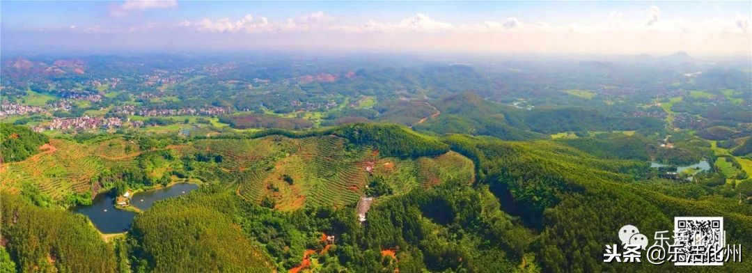 这里被称为化州之镇山，高空航拍气势非凡，历代地师推崇备至