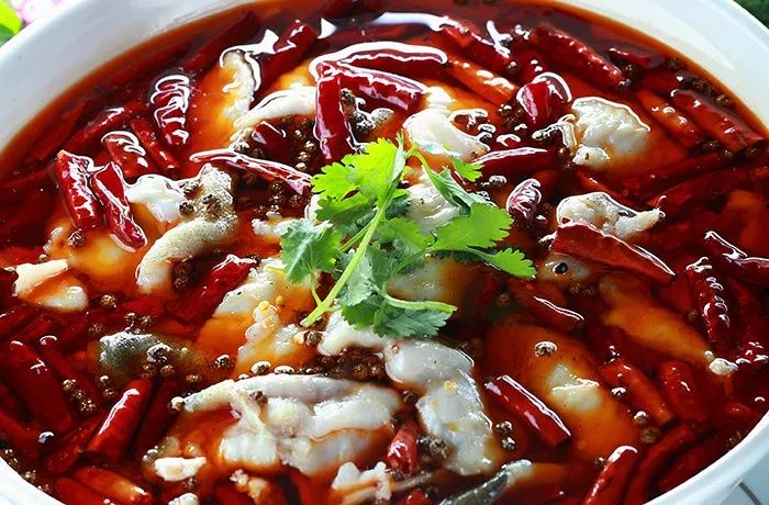 “神秘来客”寻觅《风味人间》的点名美味，“游”进了骏豪会~