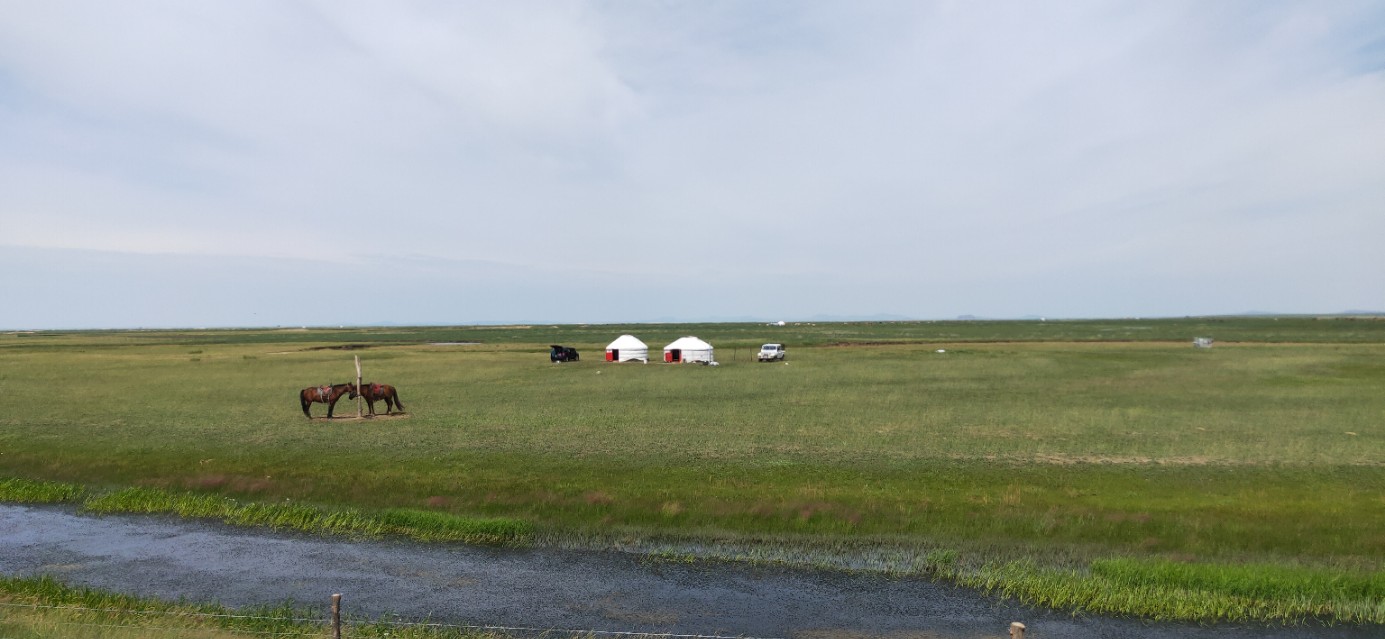 内蒙人嗓音为什么这么浑厚,内蒙人的温柔