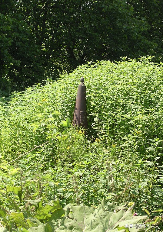 最奇葩的国家边界线,世界上奇怪的国家边界线