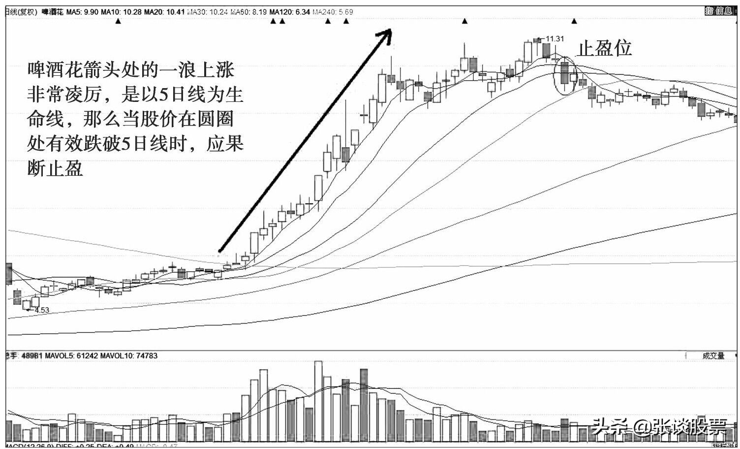 生命线的正确解释,生命线图解详细解释