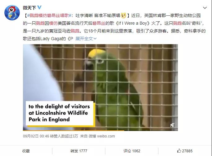 碧昂丝和女儿最新视频,碧昂丝和女儿2018格莱美