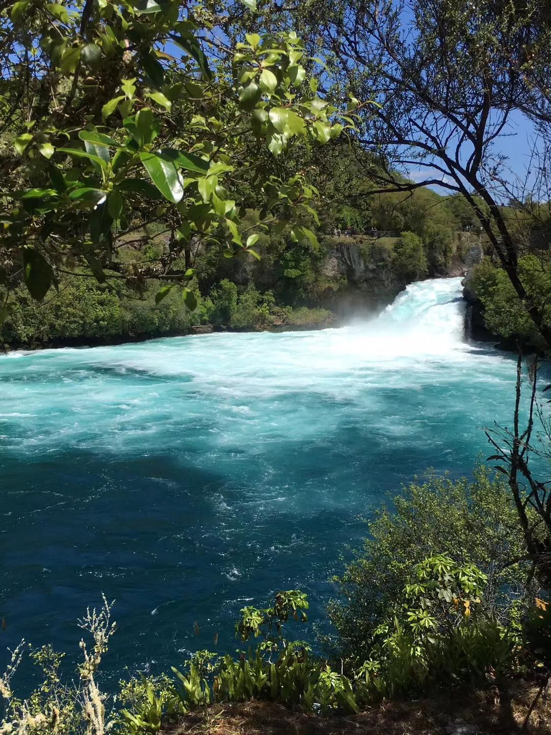 记忆中的旅行之新西兰（北岛）