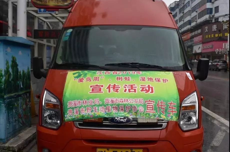 野生树蛙吃了犯法吗,吃树蛙判几年